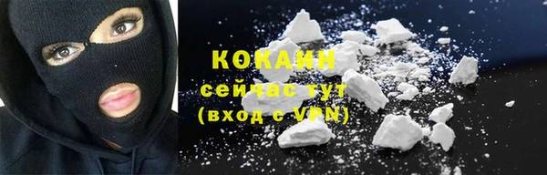 сатива Горняк