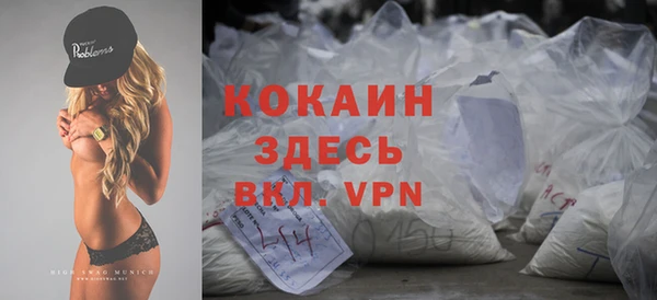 2c-b Горно-Алтайск