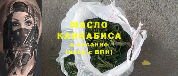 сатива Горняк
