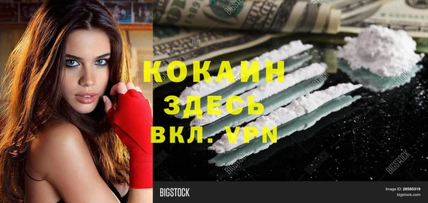 сатива Горняк