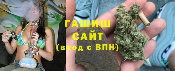 2c-b Горно-Алтайск