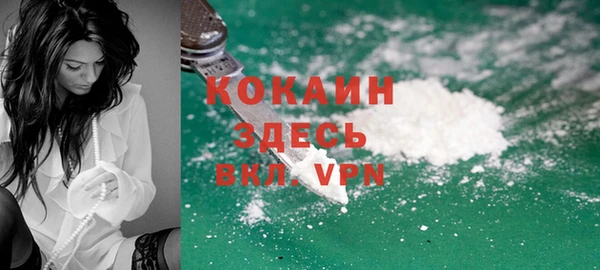 2c-b Горно-Алтайск