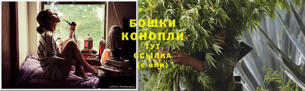альфа пвп Горнозаводск