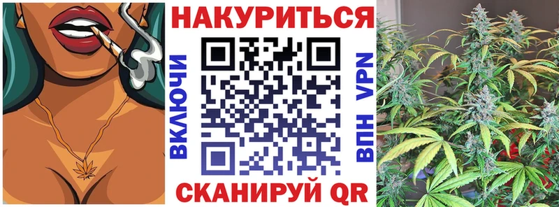 Бошки марихуана сатива  Купить закладки  Луза 